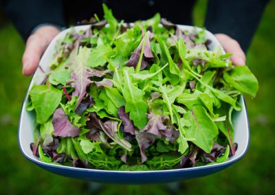 Custom Salads
